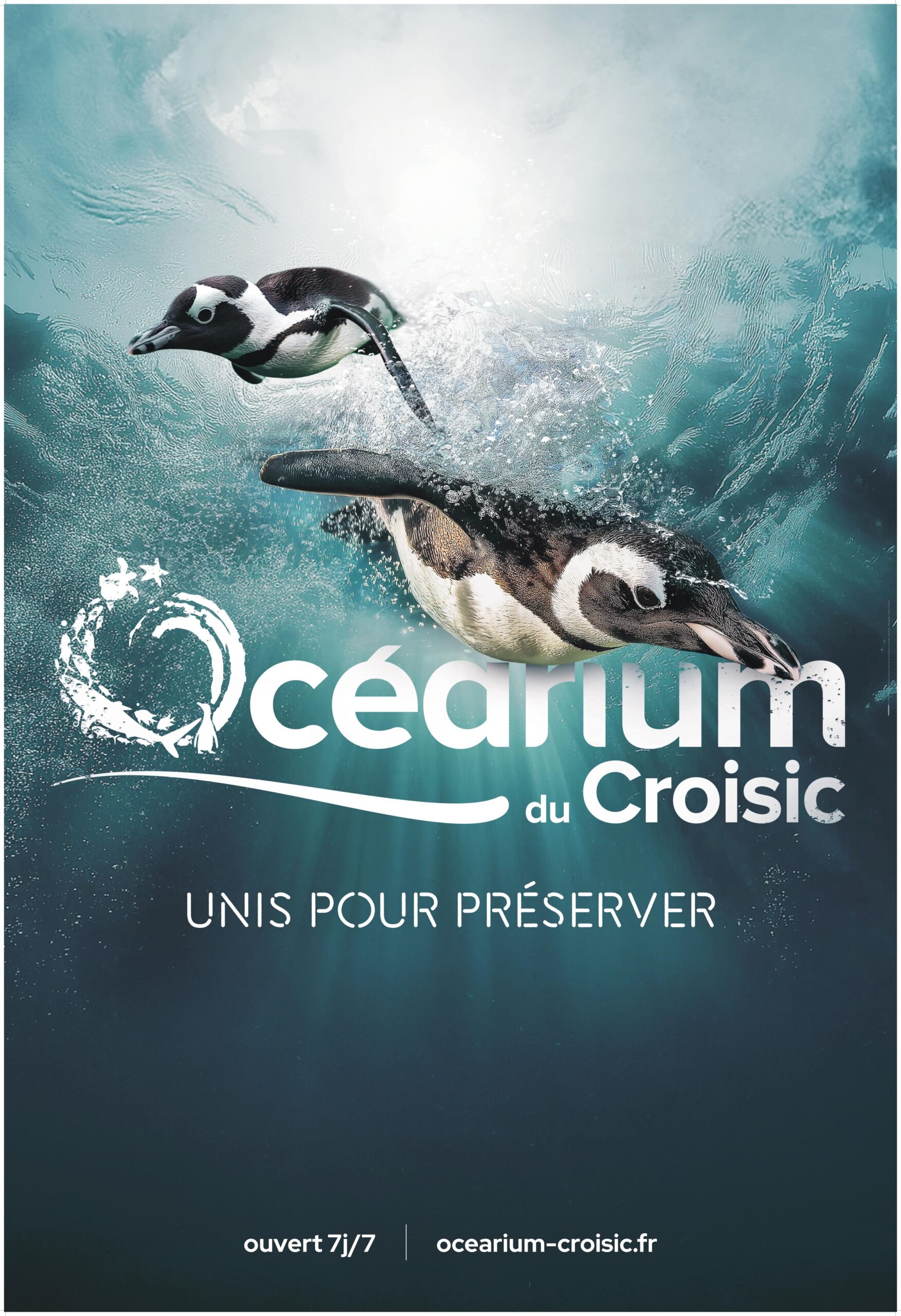 Visual 2025 Ocearium 1 scaled